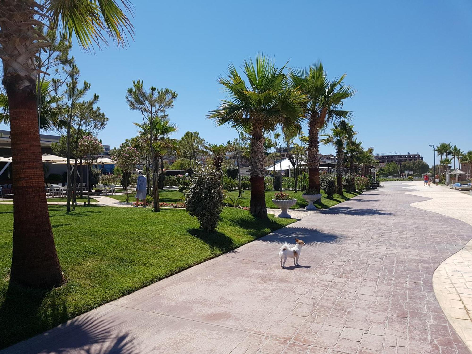 Delight Apartments Golem  Δωμάτιο φωτογραφία
